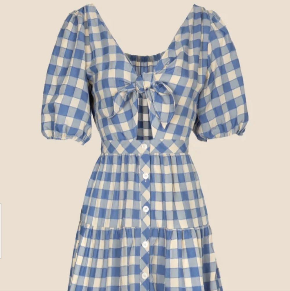 Frnch Blue and Cream Checkered Dress XS